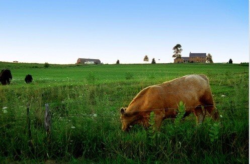 Le gouvernement a lancé lors du Salon de l’Agriculture un débat national sur l’avenir de la politique agricole