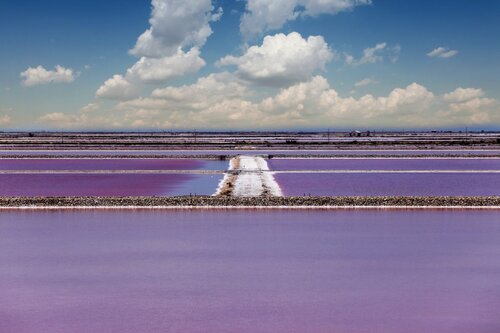 Terre de Camargue : une charte pour que les élus s’engagent sur l’alimentation