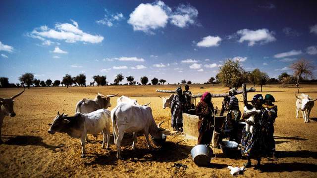 Tribune | Transition agroécologique, l’autre indépendance du Sénégal ?