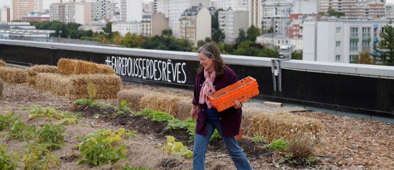 Grow your own: Urban farming is flourishing during the coronavirus lockdowns