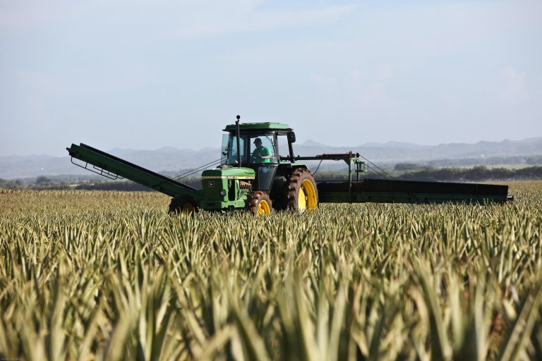 «La crise sanitaire doit être l’occasion de reconstruire notre souveraineté alimentaire»
