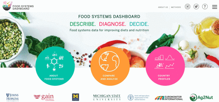 FAO, GAIN and Johns Hopkins Alliance for a Healthier World launch new online dashboard to inform better food policy