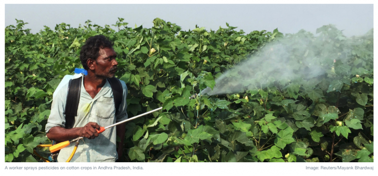 How global food safety protects the planet and begins on the farm