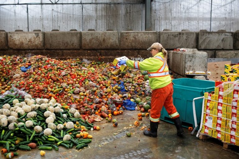 Spoiled Milk, Rotten Vegetables and a Very Broken Food System