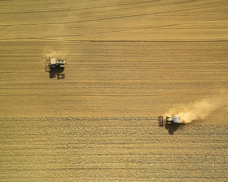 How to reimagine our food systems for a post-COVID world