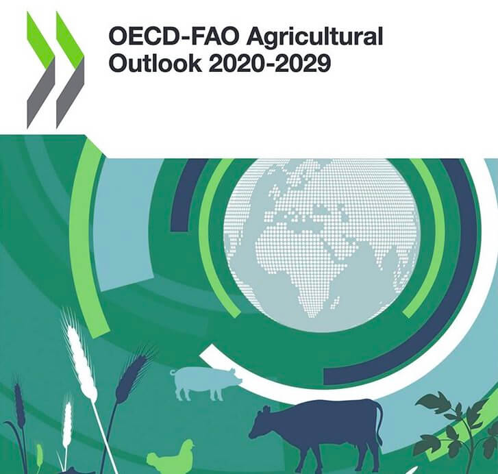 Covid-19 will impact global food systems for years to come: FAO, OECD