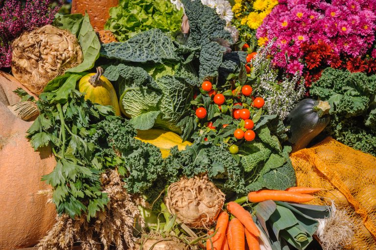The pandemic could actually strengthen the U.S. food system