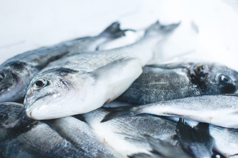 Au Brésil, l’orpaillage contamine au mercure les poissons les plus consommés du pays