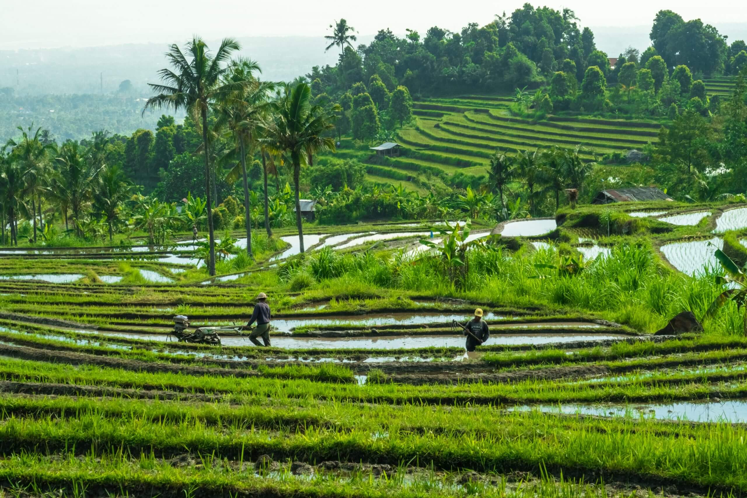 Enhancing Nationally Determined Contributions NDCs For Food Systems 