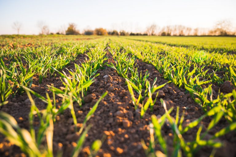 “The invisible hand of the market won’t protect our food or fields”