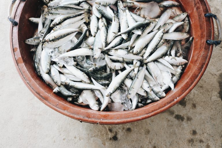 Subventions à la pêche : « Il existe plusieurs raisons au blocage des négociations »