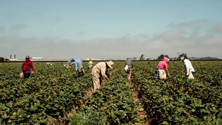 Why sustainable food could mean a better deal for workers