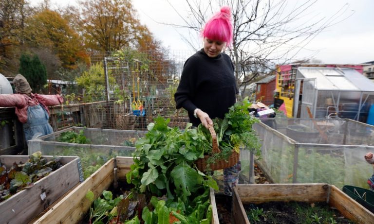 It’s official: allotments are good for you – and for your mental health