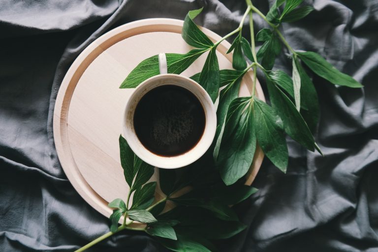 Production de café : « L’homme doit être en harmonie avec mère nature »