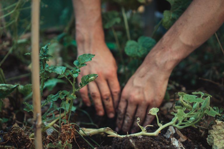 Halving the footprint of production and consumption is critical to protecting nature and ourselves