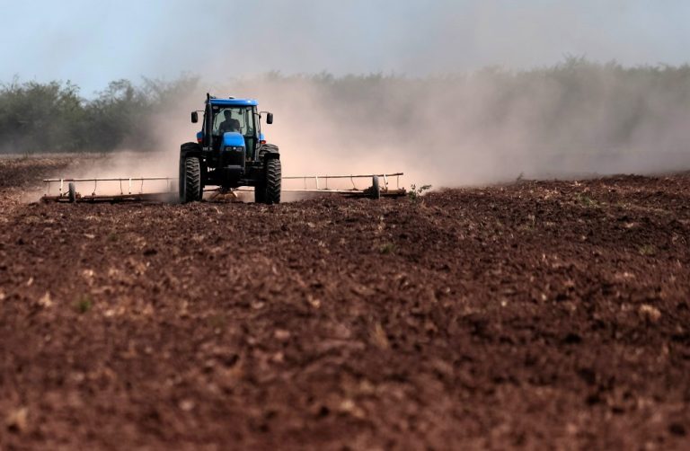 Pollution des sols : sous nos pieds, une menace silencieuse