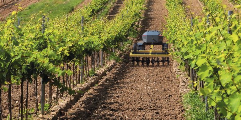 High-tech fixes for the food system could have unintended consequences