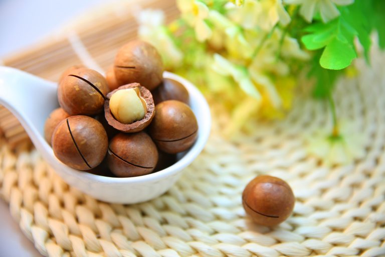 In a nutshell: how the macadamia became a ‘vulnerable’ species