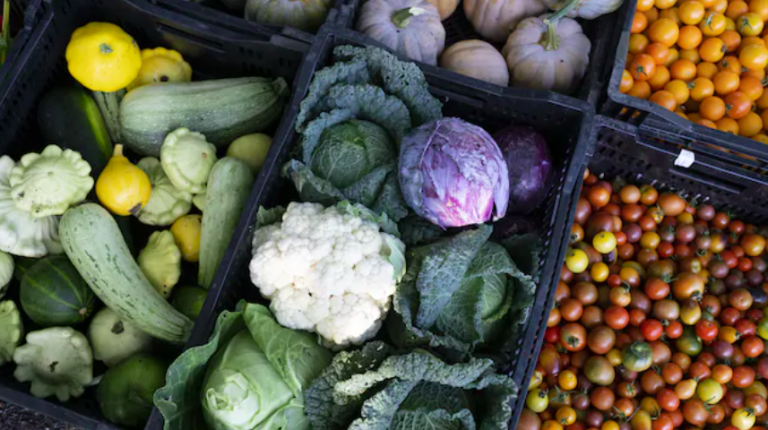 Faire pousser ses propres légumes alors que les prix risquent d’augmenter