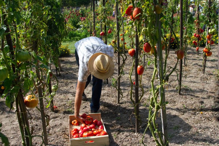 121 Food Organizations to Watch in 2021