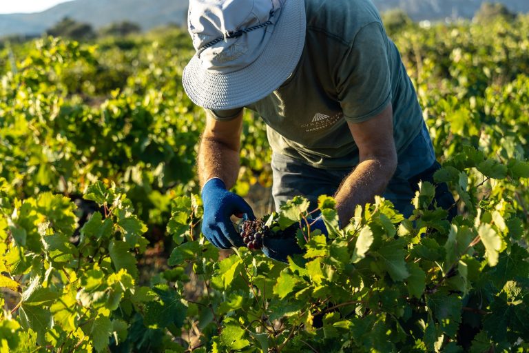 Will Covid recovery mark an overhaul of our food production?