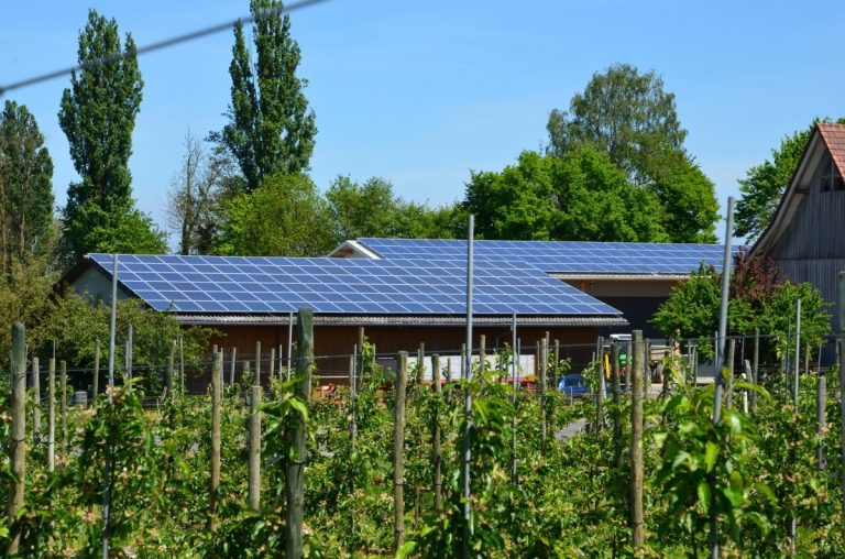 L’agrivoltaïsme, pour concilier rendements agricoles et énergies renouvelables