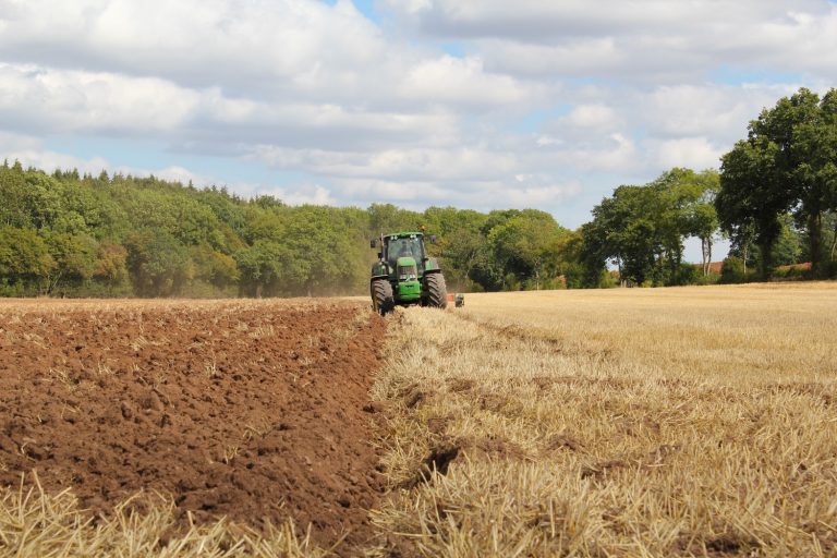 Agroecology: the answer to Europe’s agricultural, social and environmental challenges