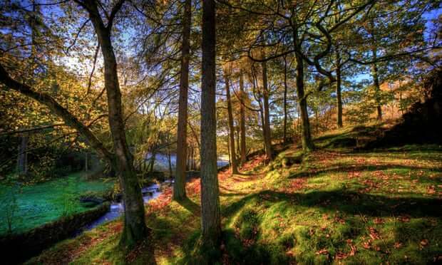 Land could be worth more left to nature than when farmed, study finds